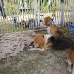 Photo n° 4 de l'avis de Patrick.u fait le 23/06/2018 à 17:54 pour Maison de la Chasse et de la Nature, Fédération Départementale des Chasseurs de la Marne à Fagnières