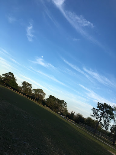 Park «Lake Park», reviews and photos, 17302 N Dale Mabry Hwy, Lutz, FL 33548, USA