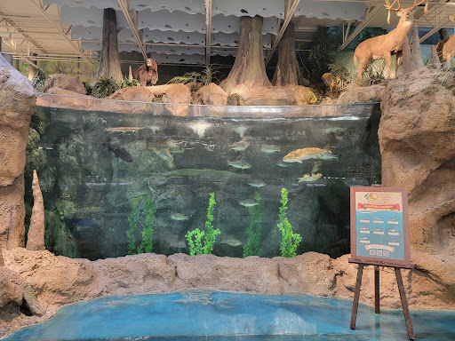 Sporting Goods Store «Bass Pro Shops», reviews and photos, 750 Bass Pro Dr NE, Palm Bay, FL 32905, USA