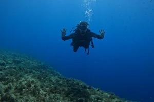 PADI - Barracuda Diving Mallorca image