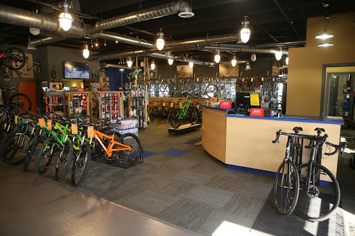 Bicycle Store «ProCycling», reviews and photos, 415 W Pikes Peak Ave, Colorado Springs, CO 80905, USA