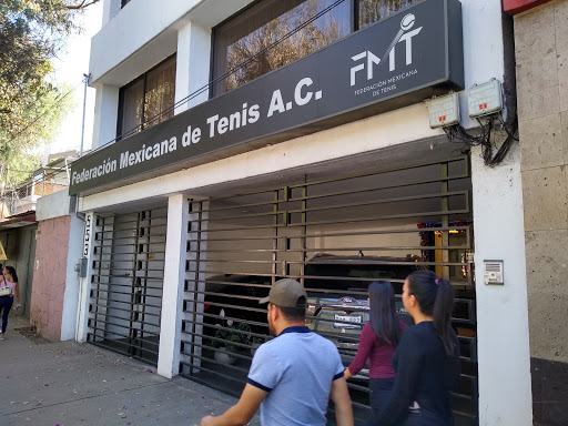 Federacion Mexicana de Tenis