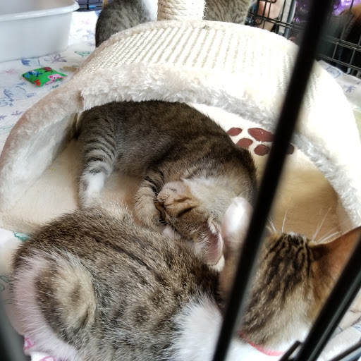 Pet Supply Store «Mud Bay», reviews and photos, 2540 NW 188th Ave, Hillsboro, OR 97124, USA