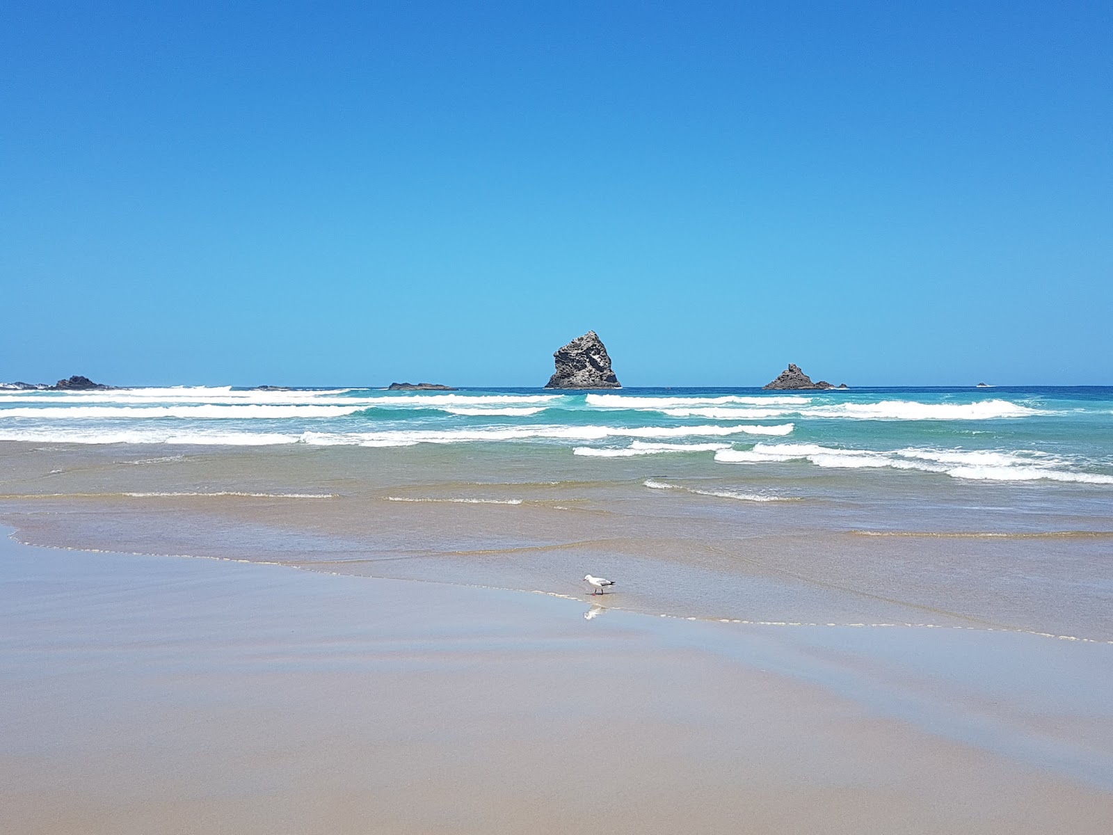 Photo of Sandfly Bay Beach with long straight shore