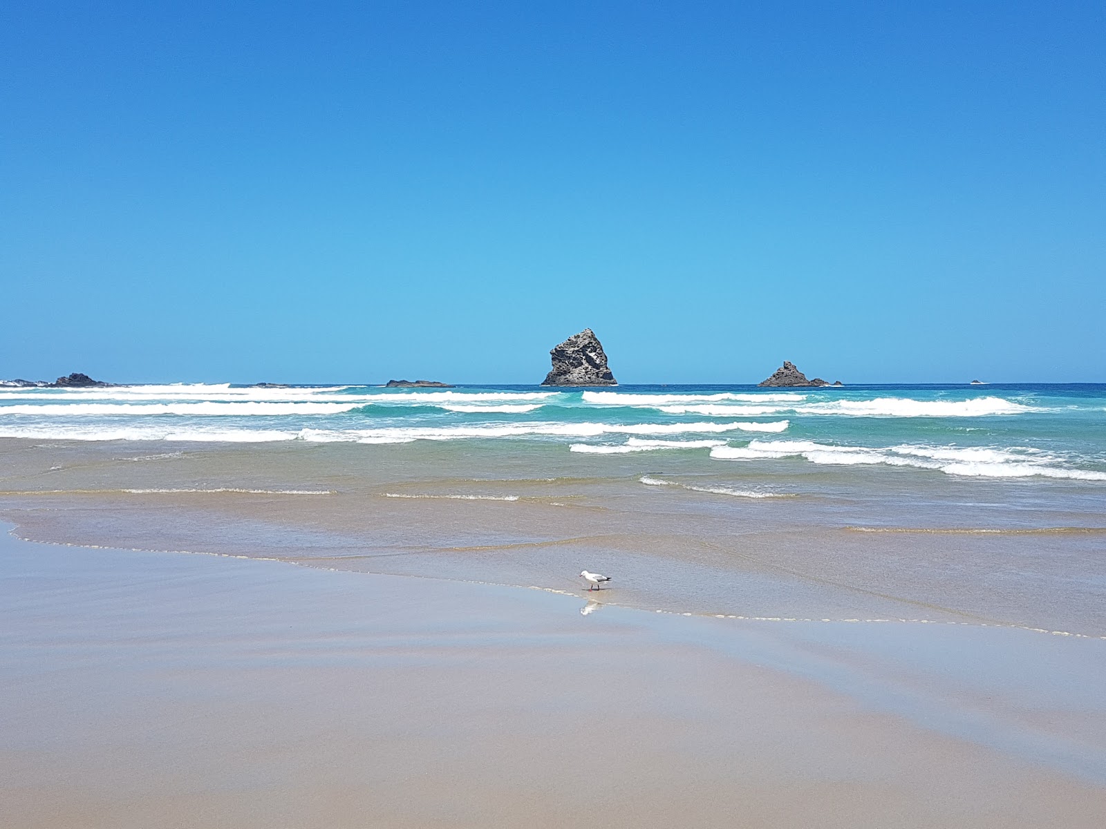Photo de Sandfly Bay Beach avec un niveau de propreté de très propre