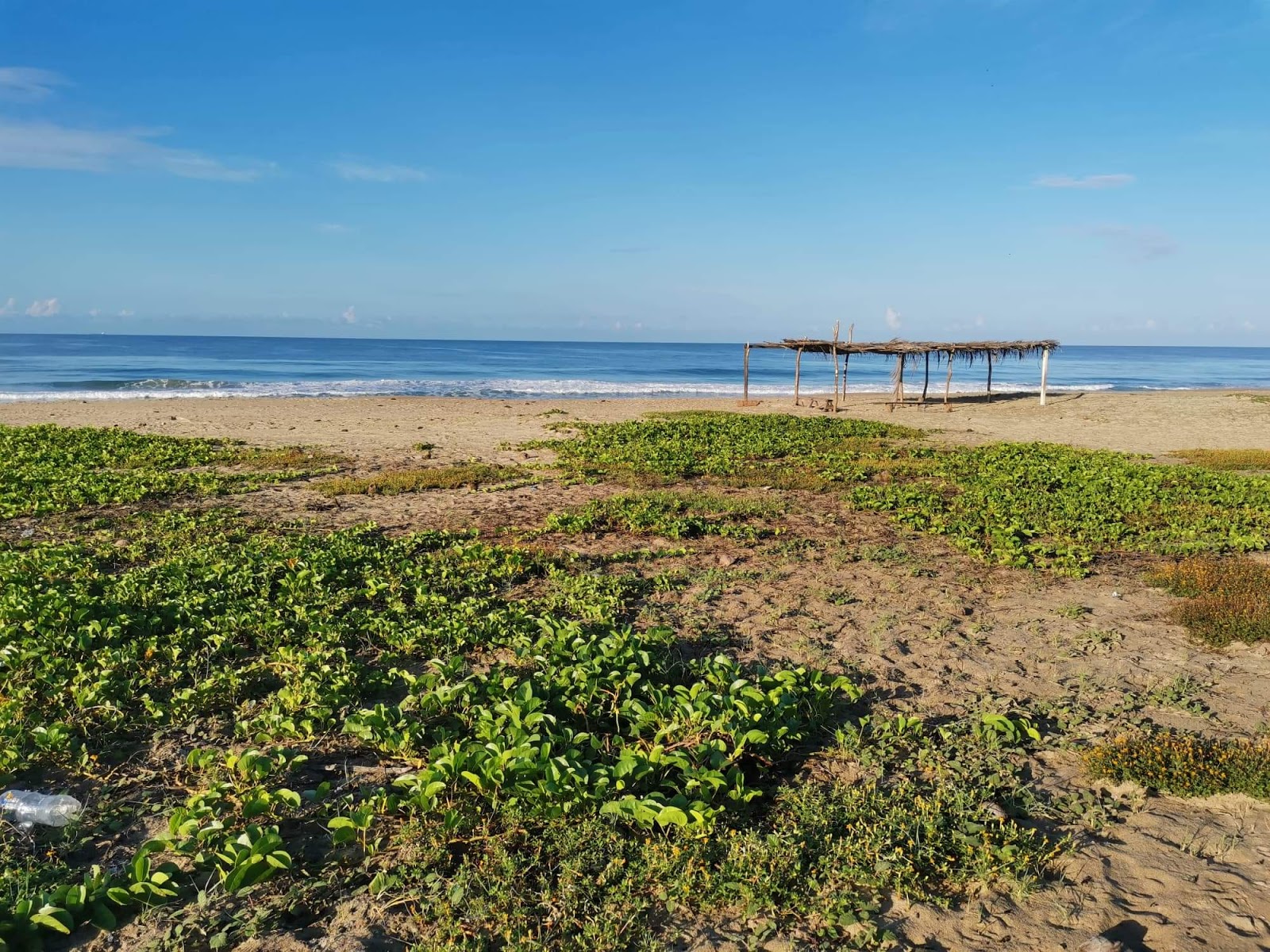 Zdjęcie Playa Enramada Macio z powierzchnią jasny piasek