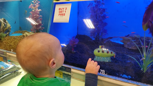 Pet Supply Store «PetSmart», reviews and photos, 2997 Max Ave, Bozeman, MT 59718, USA