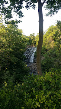 Creative Wedding Officiants - Photo 3 - Car repair in North Ridgeville, OH, Lorain