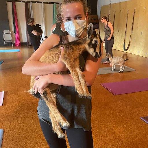 Personal Trainer «Fit Columbia», reviews and photos, 2002 Blossom St, Columbia, SC 29205, USA