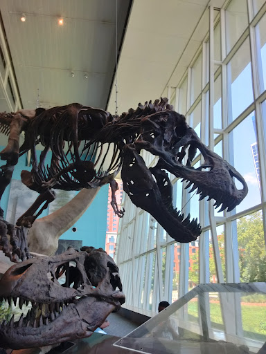 Imax Theater «IMAX at the Maryland Science Center», reviews and photos, 601 Light St, Baltimore, MD 21230, USA