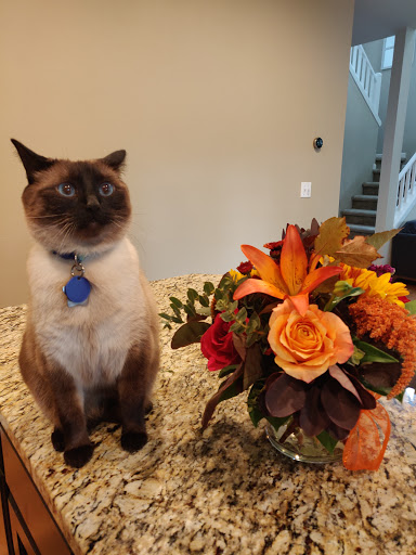 Florist «Mercer Island Florist», reviews and photos, 3006 78th Ave SE, Mercer Island, WA 98040, USA