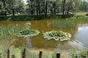 Park Przeźmierowo-Olszynowa image