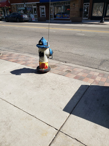 Performing Arts Theater «The Skokie Theatre», reviews and photos, 7924 Lincoln Ave, Skokie, IL 60077, USA