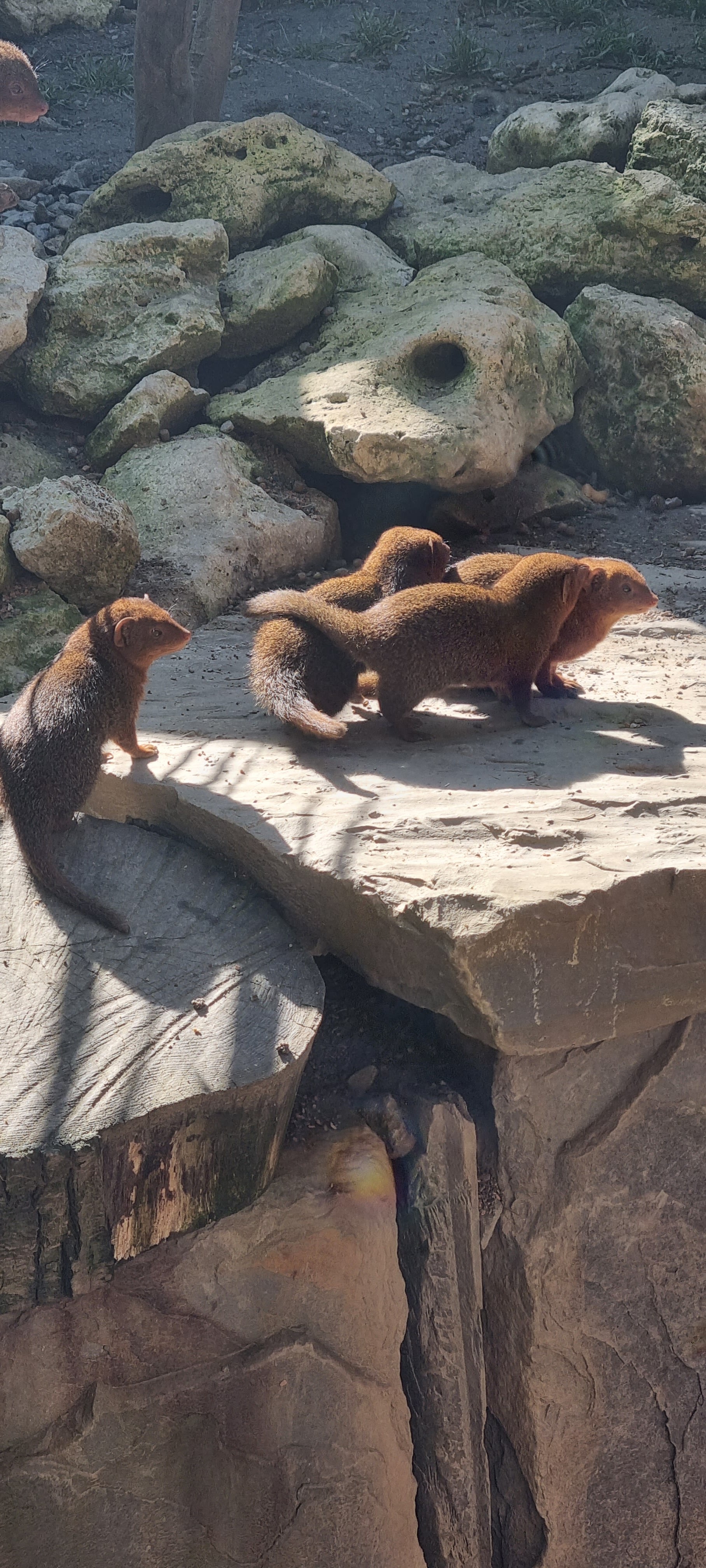 Photo n° 33 de l'avis de Anne.a fait le 25/04/2022 à 13:04