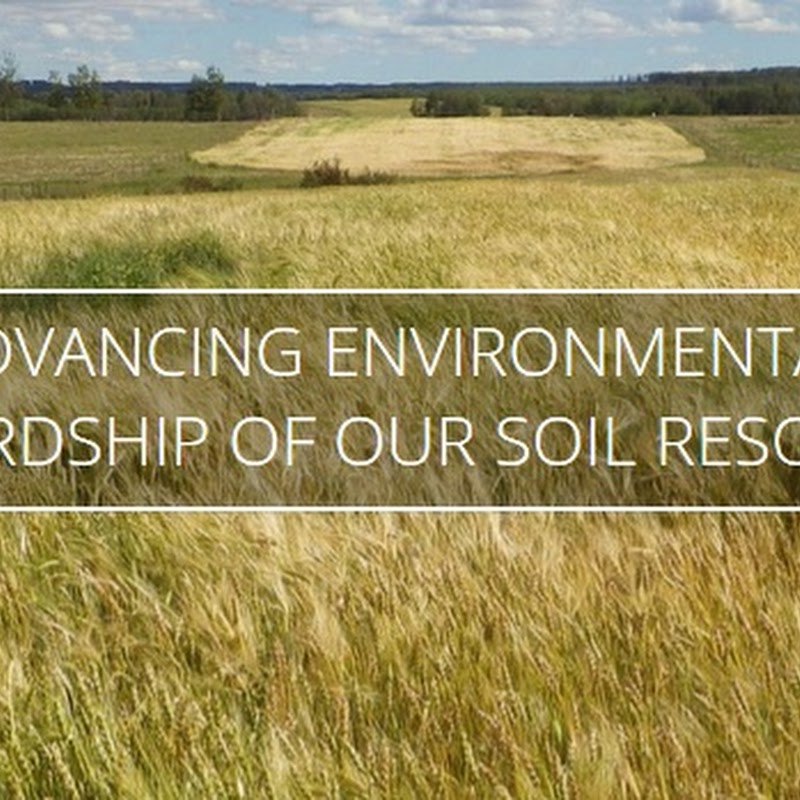 Paragon Soil and Environmental Consulting Inc