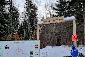 Thanheim Trail image