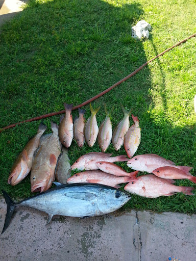 Bait Shop «J & J Bait and Tackle Outfitters II», reviews and photos, 1234 Baillies Bluff Road, Holiday, FL 34691, USA