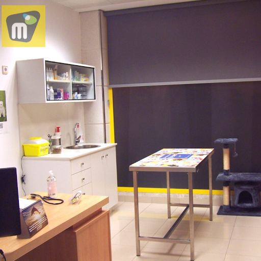 Clínica Veterinaria Animalicos en Villena