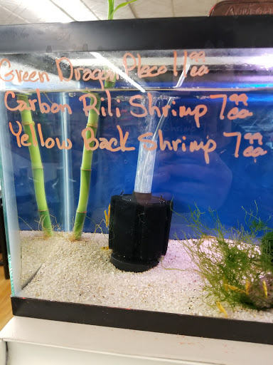 Tropical Fish Store «Tropi-Quatics Pet Center», reviews and photos, 337 S Main St, Lombard, IL 60148, USA