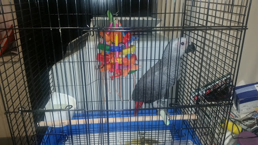 Used Car Dealer «ACA Auto Sales», reviews and photos, 691 Merrick Rd, Lynbrook, NY 11563, USA