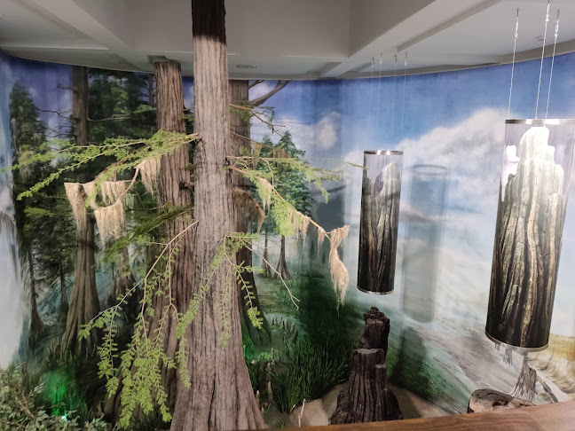 Herman Ottó Múzeum - Miskolc