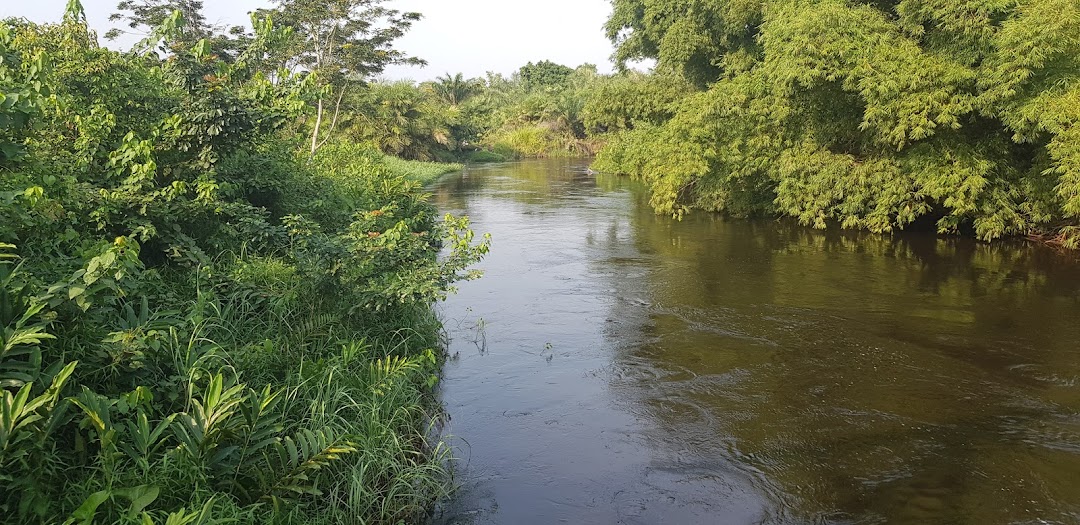 Ewo, Kongo Cumhuriyeti