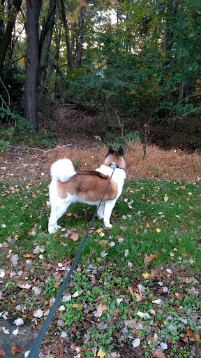 Amish Furniture Store «Dutch Selection», reviews and photos, 793 Lancaster Pike, Quarryville, PA 17566, USA