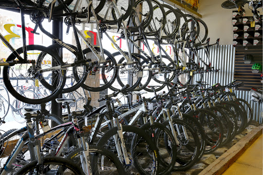 Bicycle Store «Reality Bikes», reviews and photos, 20 Tri-County Plaza, Cumming, GA 30040, USA