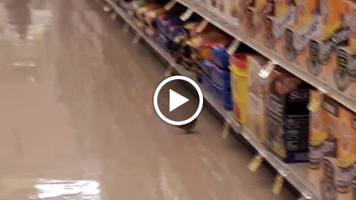 Grocery Store «Albertsons», reviews and photos, 3520 Pacific Ave SE, Olympia, WA 98501, USA