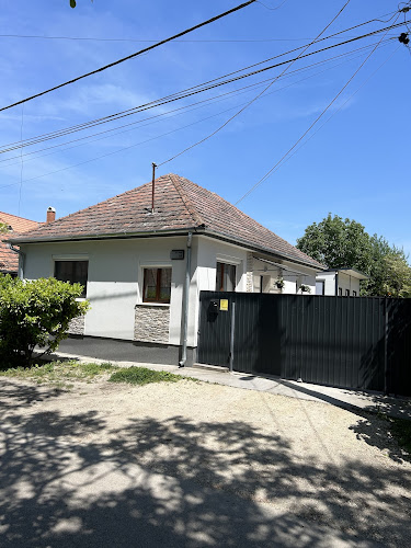 Autóvillamosság Ráckeve - Ráckeve