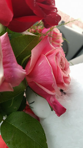 Florist «Yesterday Florists & Gifts», reviews and photos, 2548 Lapeer Rd #1, Auburn Hills, MI 48326, USA