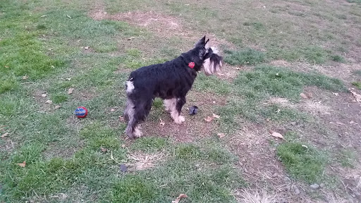 Dog Park «Dog Park», reviews and photos, 9068-9156 Wheatsheaf Rd, Morrisville, PA 19067, USA