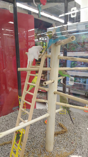 Pet Supply Store «Petco Animal Supplies», reviews and photos, 6181 Old Dobbin Ln #800, Columbia, MD 21045, USA