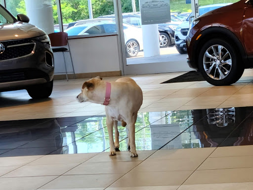 Car Dealer «Mark Sweeney Buick GMC», reviews and photos, 3365 Highland Ave, Cincinnati, OH 45213, USA