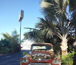 Bodegas de Santo Tomás S,A. de C.V. photo