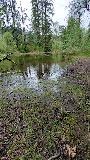 Upper Coquitlam River Park, Coquitlam, BC