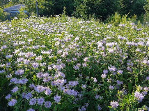 Park «New Haven Park», reviews and photos, New Haven Ave, Aurora, IL 60506, USA