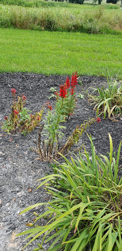 Nature Preserve «Sadsbury Woods Preserve», reviews and photos, Ramblewood Dr & Northwood Dr, Coatesville, PA 19320, USA