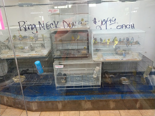 Pet Store «Fish-N-Pets Unlimited», reviews and photos, 11710 Bissonnet St, Houston, TX 77099, USA
