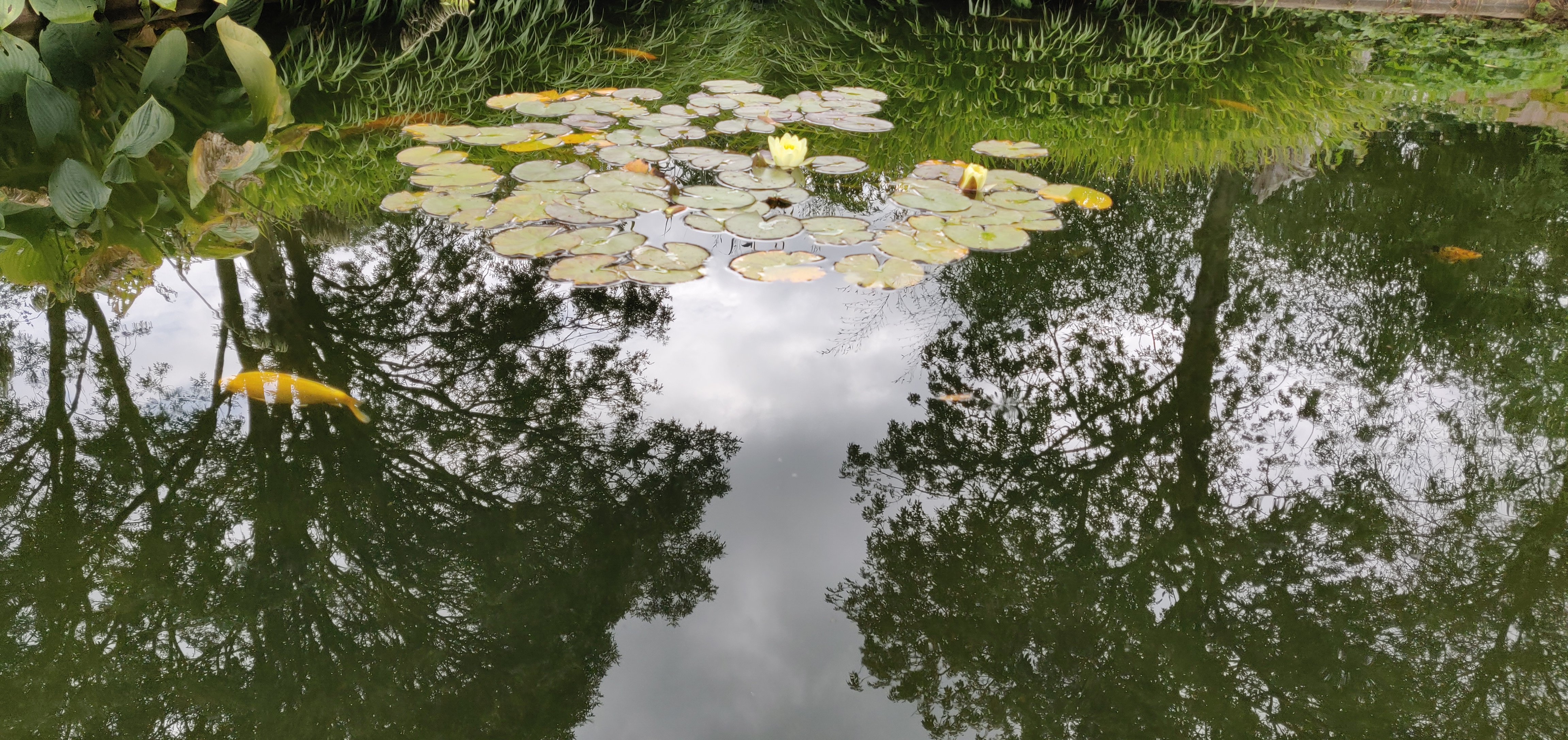 Photo n° 29 de l'avis de CHRISTIAN.A fait le 16/08/2019 à 16:59