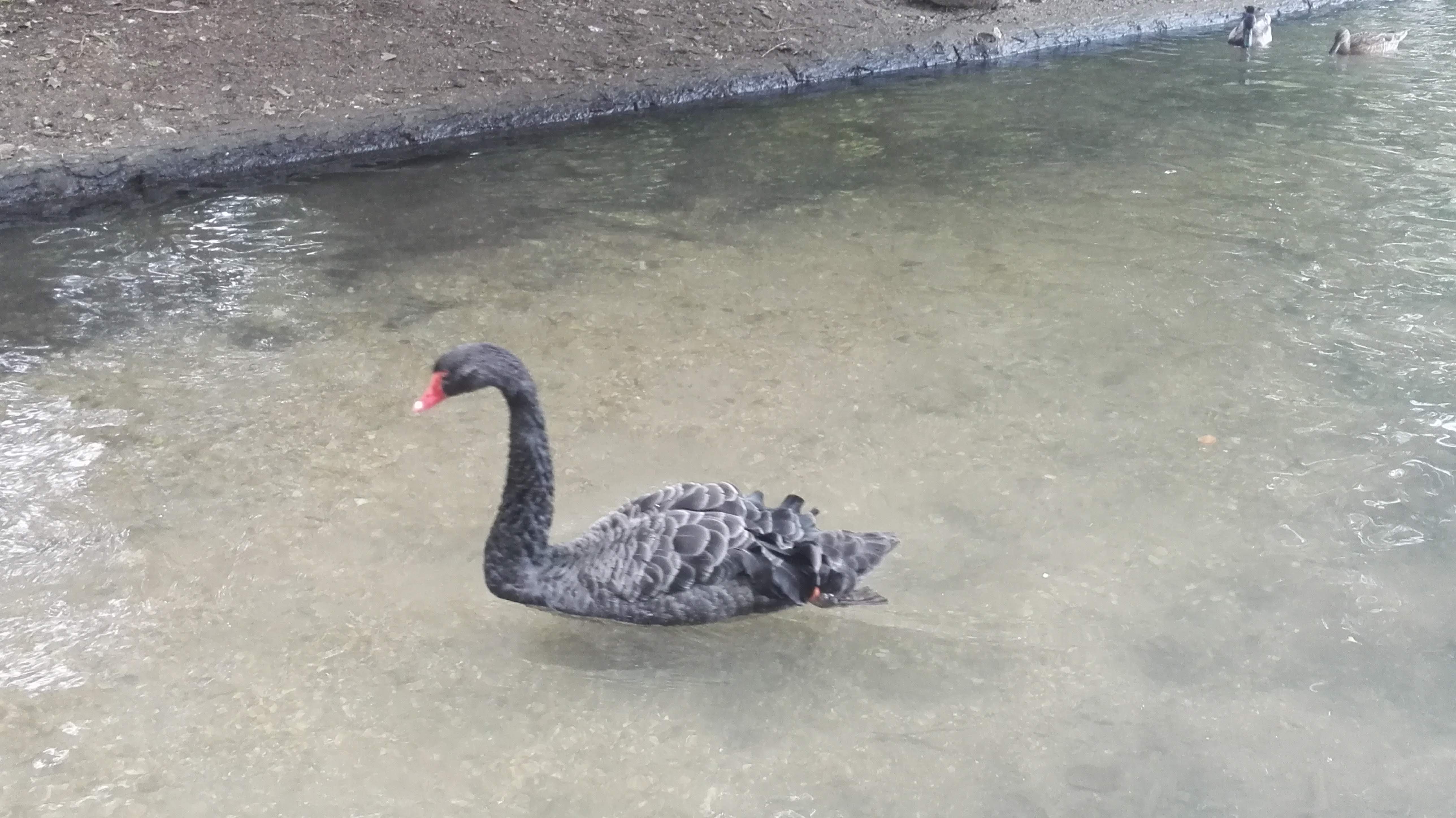 Photo n° 12 de l'avis de laurent.e fait le 24/09/2018 à 16:59