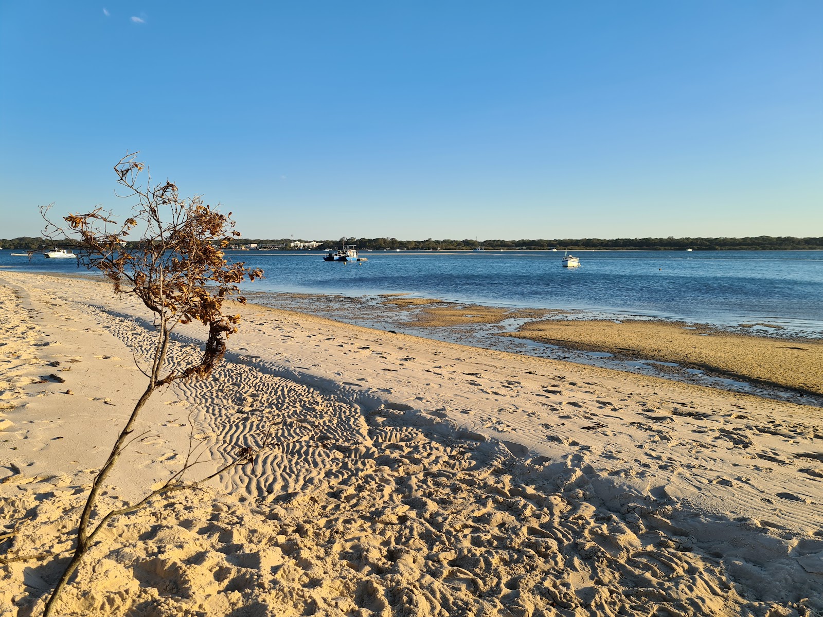 Foto van Sylvan Beach - populaire plek onder ontspanningskenners