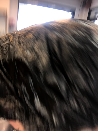 Beauty Salon «Hair Culture II Hair Salon», reviews and photos, 7602 3rd Ave, Brooklyn, NY 11209, USA