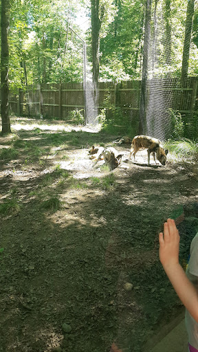 Zoo «Binder Park Zoo», reviews and photos, 7400 Division Dr, Battle Creek, MI 49014, USA