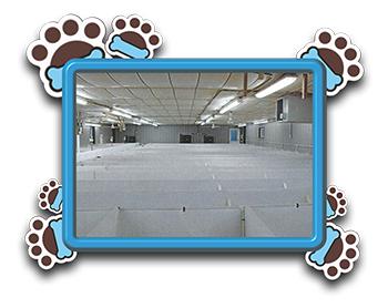 Pet Store «AA Ridgewood Kennels II», reviews and photos, 5401 Lincoln Hwy, Gap, PA 17527, USA