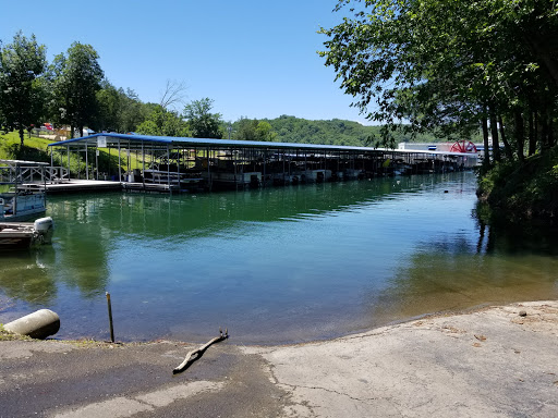 Marina «Mitchell Creek Marina», reviews and photos, 1260 Livingston Boat Dock Rd, Allons, TN 38541, USA