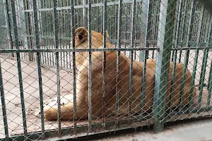 Haskovo Zoo image