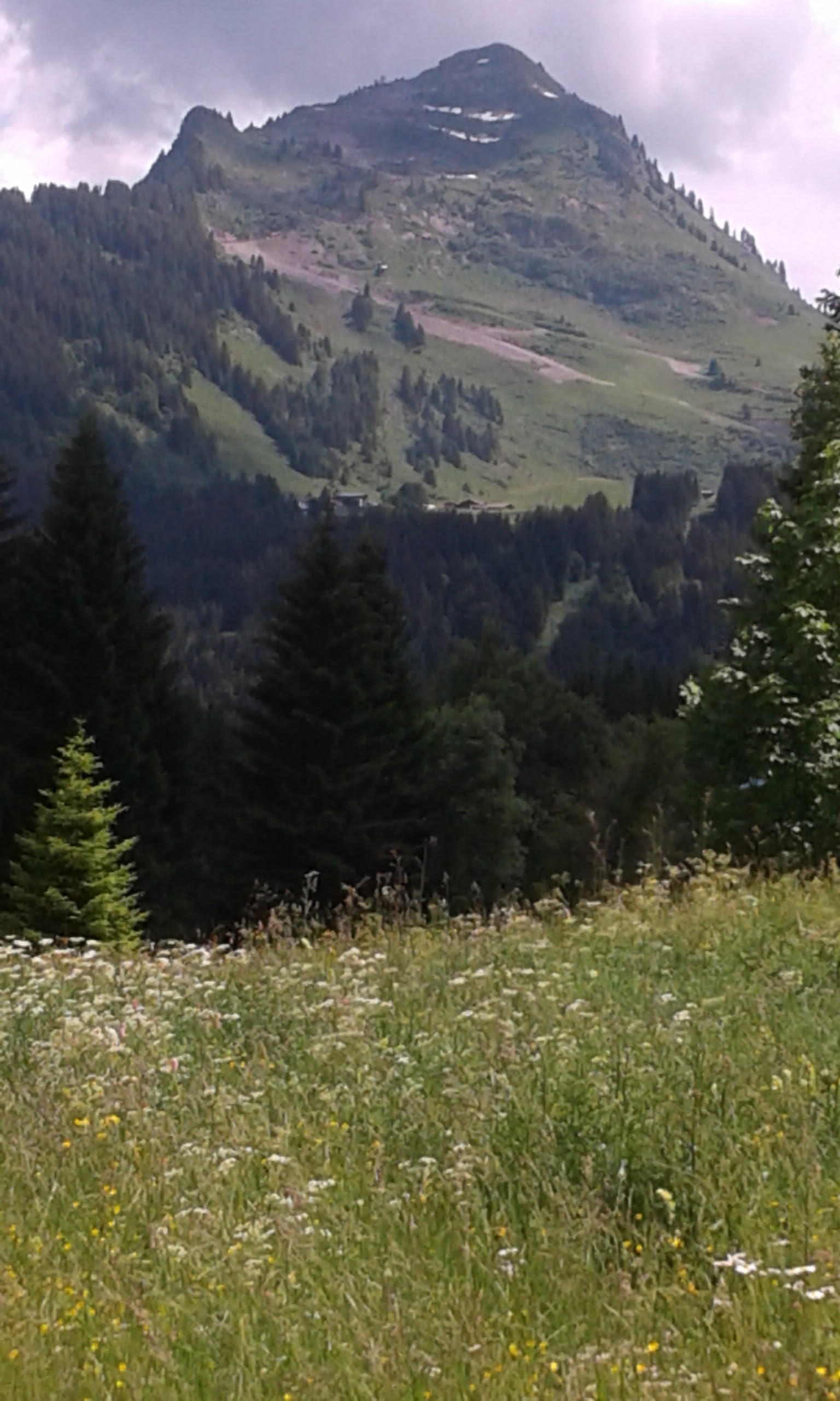 Photo n° 11 de l'avis de Cherzad.r fait le 24/06/2018 à 20:16