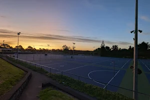 Lake Rotokaeo Playground, Minogue Park, Forest Lake image