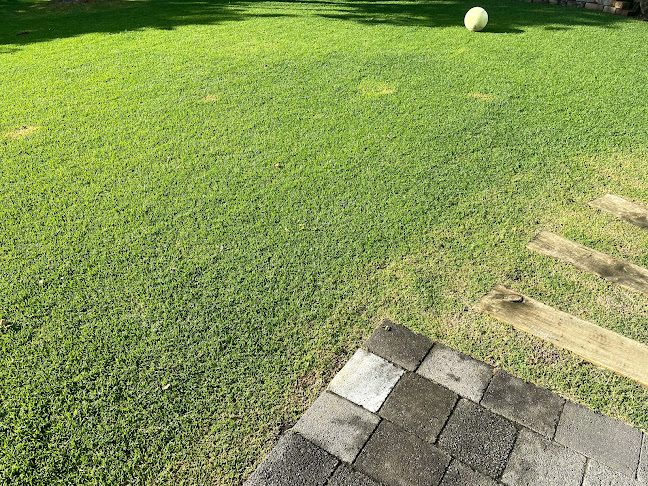 Reviews of Local Lawn and Garden in Tuakau - Landscaper